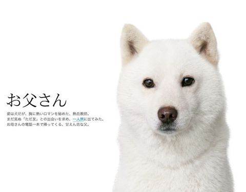 韓国の現状?_c0139575_21343288.jpg