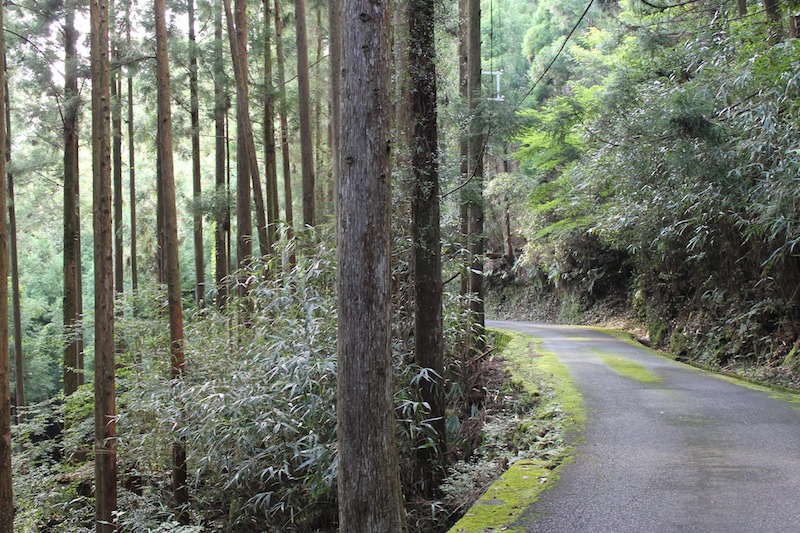 丹倉神社へ(2011.8.23)_c0173978_3534670.jpg