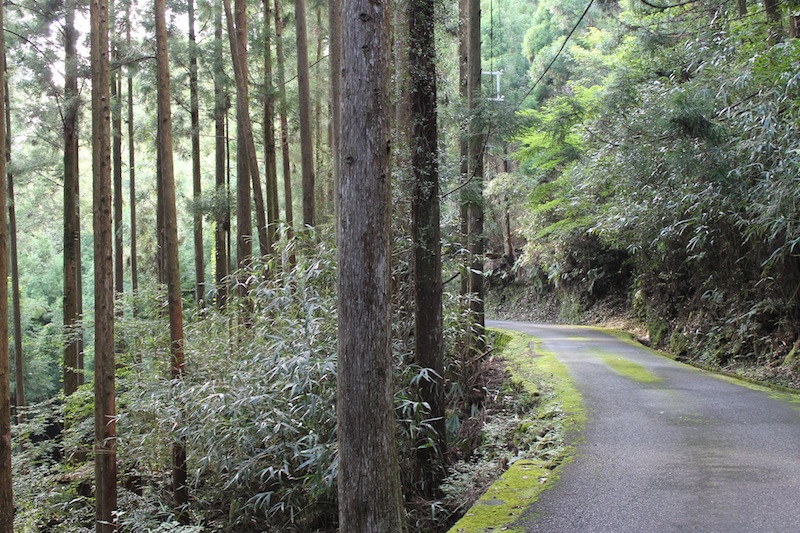 丹倉神社へ（2011.8.23）_c0173978_3534670.jpg