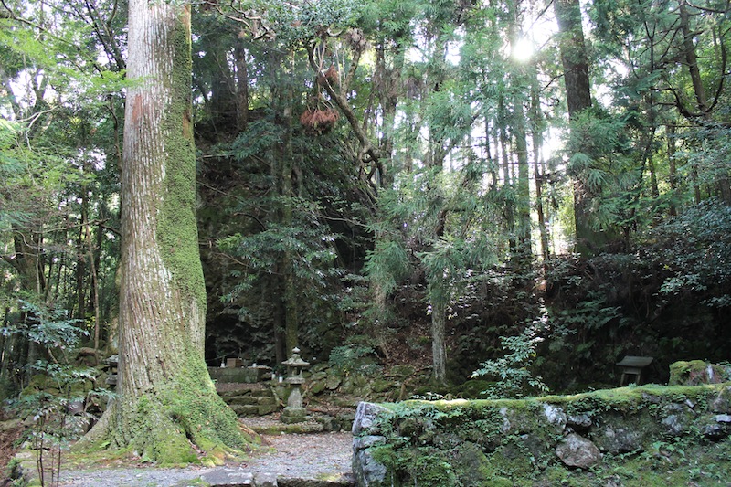 丹倉神社へ(2011.8.23)_c0173978_3541733.jpg