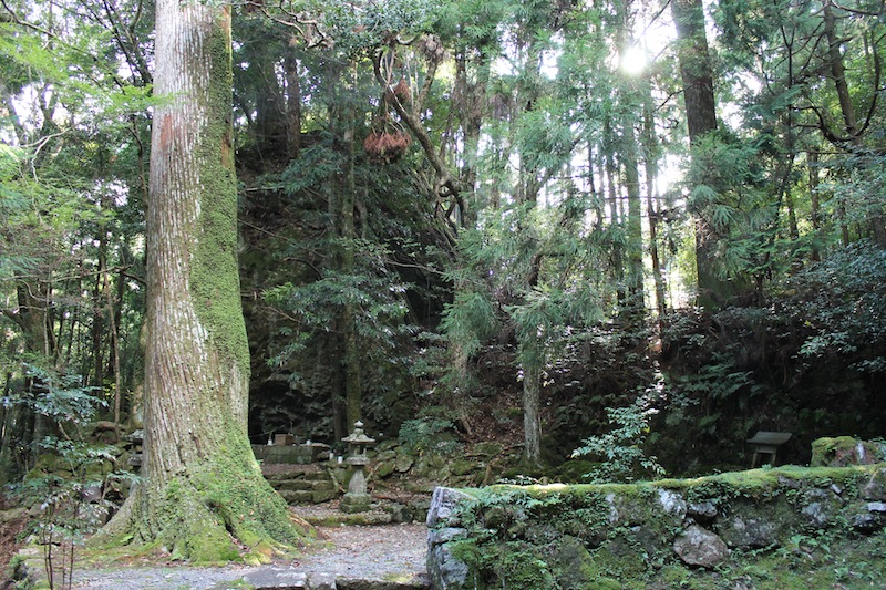 丹倉神社へ（2011.8.23）_c0173978_3541733.jpg