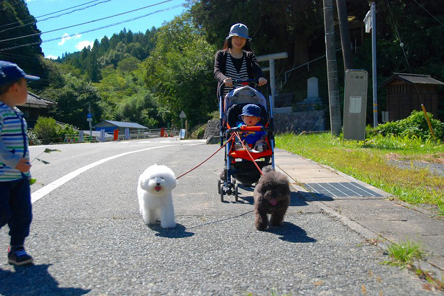 田舎もぐみるく〜アート編〜_d0113080_1933439.jpg