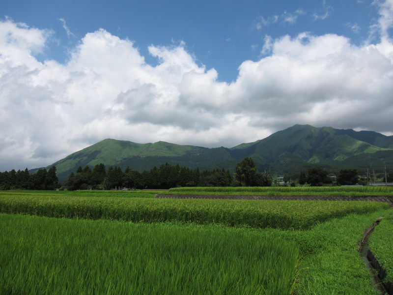 壮観な景色と自然に魅了された阿蘇(２日目③）:360度大パノラマに感動・大観峰－ブロンプトンと九州12日⑫_e0138081_1026734.jpg