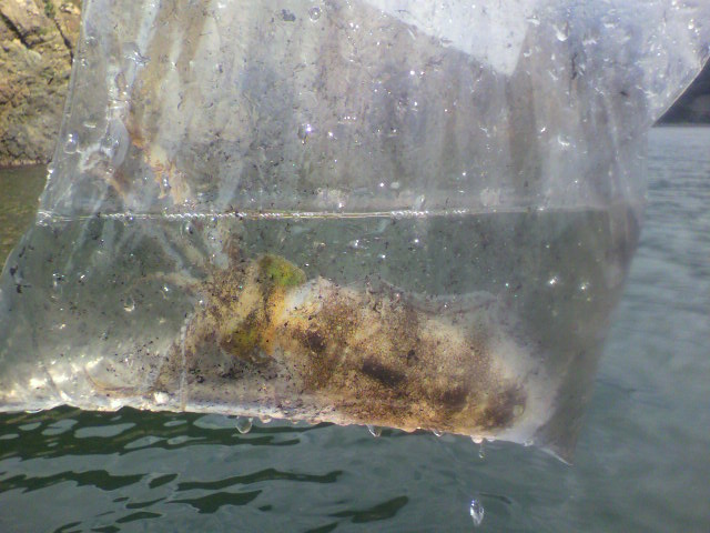 e0223584_11532868.jpg