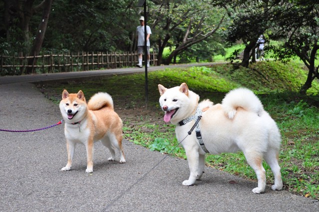 アナタはアタシの・・・_a0126590_22265640.jpg