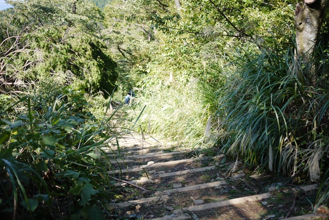 a0127090_9321287.jpg