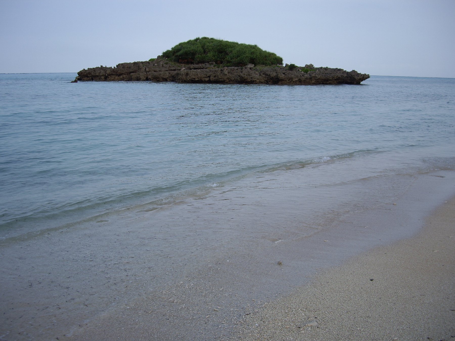 海洋資源を守らなければ、与論島の明日はない_e0032991_8395871.jpg