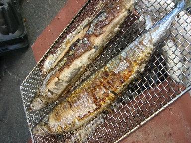 シルバーウィーク。_a0045293_16251226.jpg