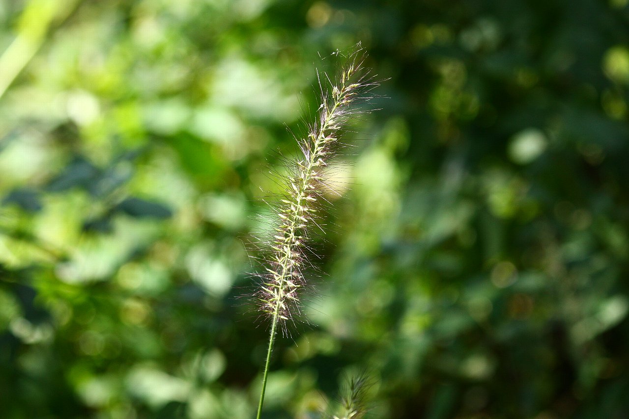 e0167295_01336.jpg