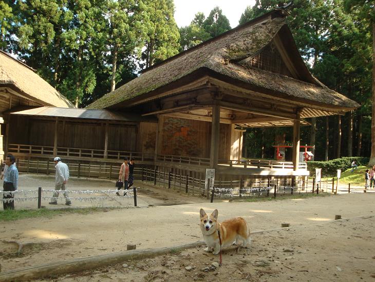 f0075595_22711.jpg