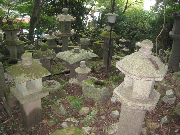 ニワプラスinkyoto_a0233896_16582650.jpg