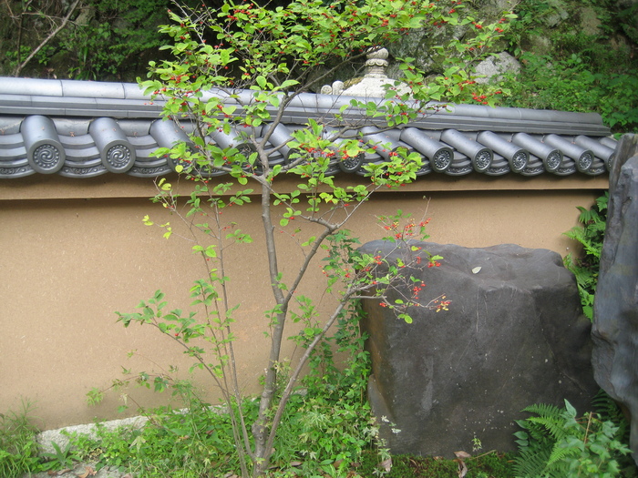 ニワプラスinkyoto_a0233896_177454.jpg