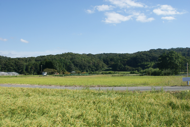 f0179202_0201398.jpg
