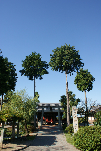 f0179202_0331219.jpg