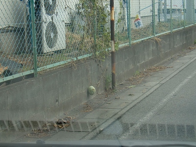 f0193702_20484976.jpg