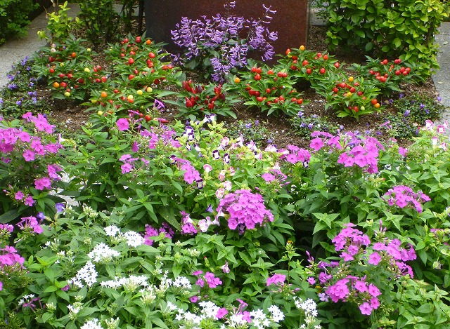 a0123003_13332851.jpg