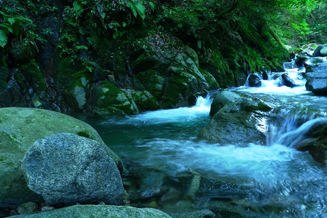 a0097006_23162762.jpg