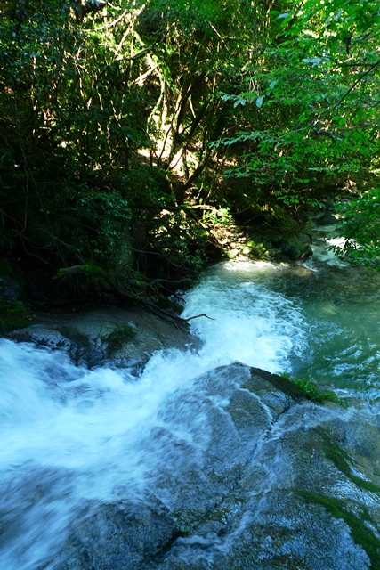 a0097006_2318821.jpg