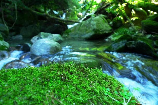 a0097006_23214197.jpg