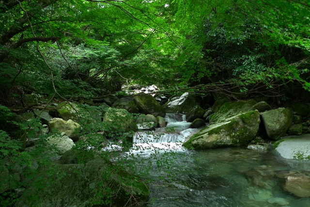 a0097006_23282699.jpg