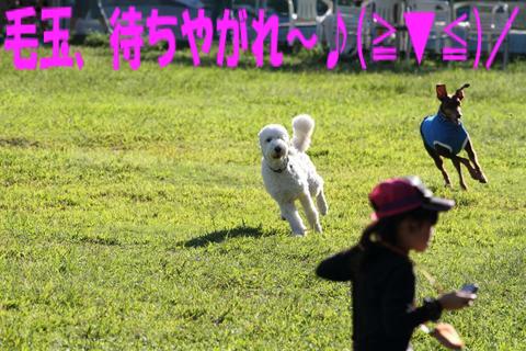 e0100007_21304643.jpg