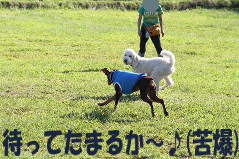 e0100007_21305335.jpg