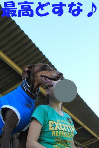 e0100007_21324016.jpg