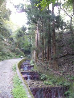 c0114110_854168.jpg