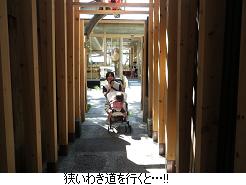 京都なう。【清水寺で汗だく観光編】_c0182012_15575674.jpg