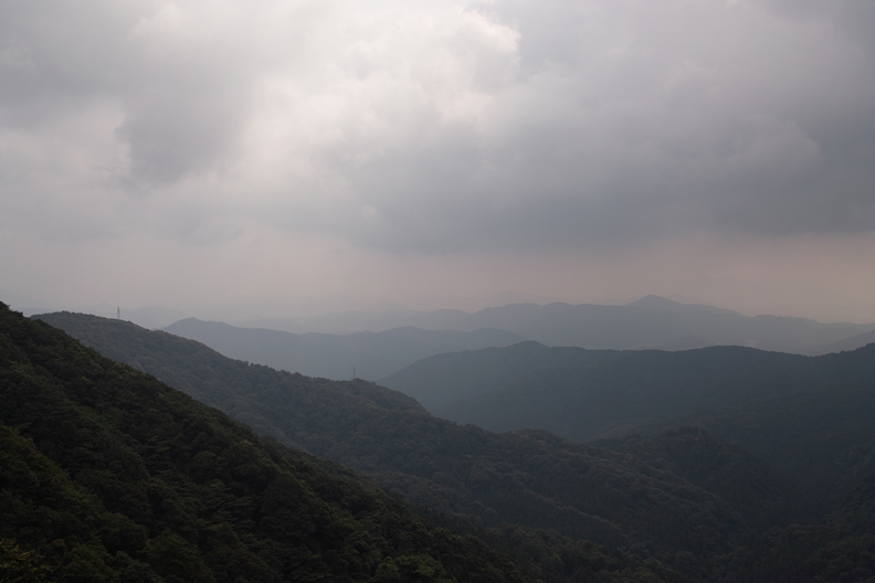 20100801越知山_f0235612_19535318.jpg