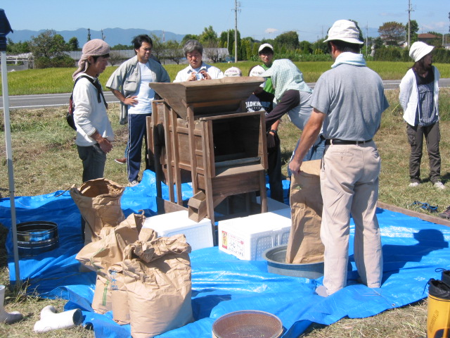 「なたね油 ⑥-2011」_a0120513_19511764.jpg