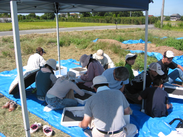 「なたね油 ⑥-2011」_a0120513_207215.jpg