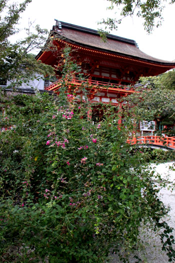上賀茂神社 萩と社家の道_e0048413_213326.jpg