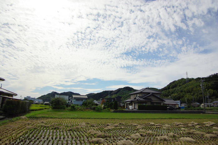 秋の空_d0072720_16311364.jpg