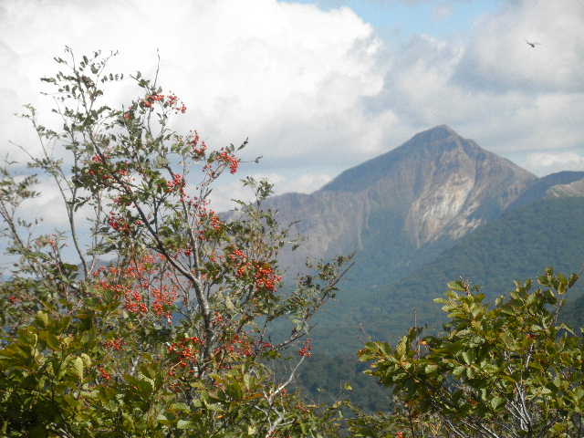 c0141223_21182214.jpg