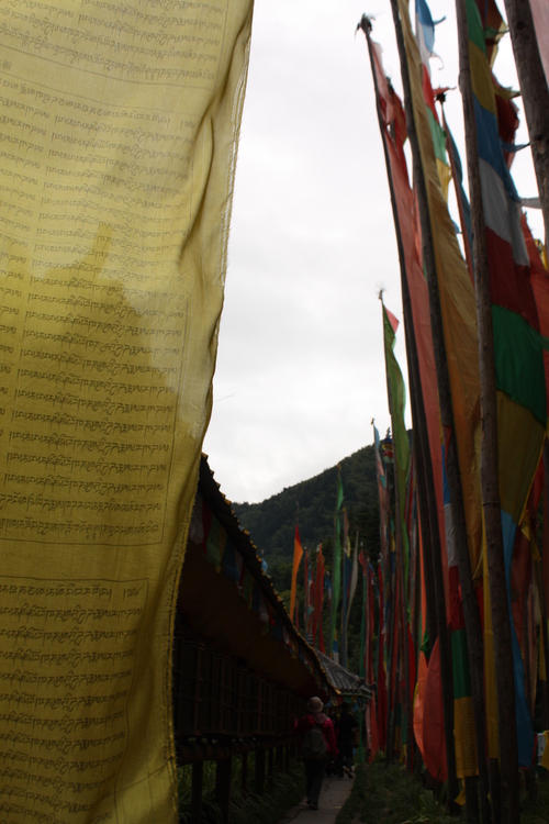 c0132325_16592260.jpg