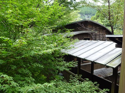 d0086228_1430579.jpg