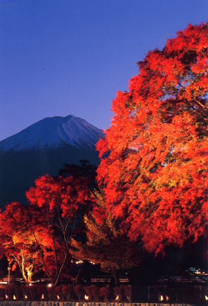 本日夕方の富士さんと紅葉祭りのご案内_d0161933_18554855.jpg