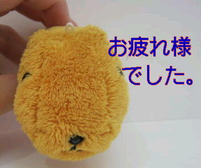 a0167335_13442119.jpg