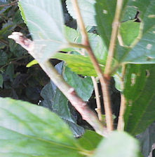 f0161535_14881.jpg