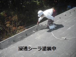 屋根塗装・・浸透シーラ_f0031037_2075420.jpg