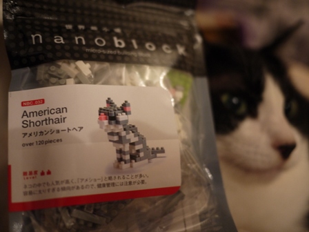 世界最小級ブロックnanoblock猫 空アメショグーグー編。_a0143140_22185672.jpg