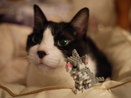 世界最小級ブロックnanoblock猫 空アメショグーグー編。_a0143140_2231273.jpg