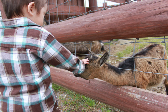 ＲＡＮＣＨ　ＢＯＹ_e0206944_2159578.jpg