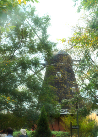 e0172847_846512.jpg