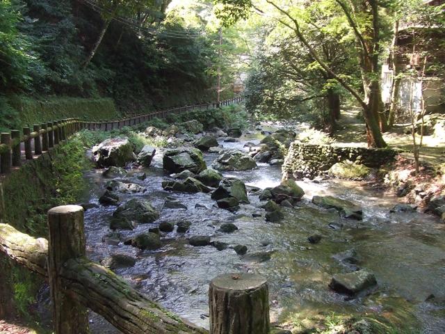 e0046748_048449.jpg