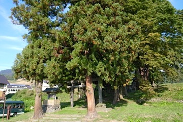 b0025850_23534150.jpg