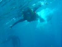 b0165554_85067.jpg
