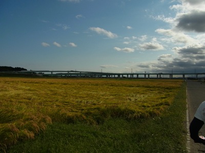 e0140354_2251239.jpg