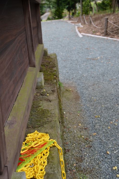 日頃見られない阿蘇神社と流鏑馬以外の田実祭の様子_b0123359_21215150.jpg